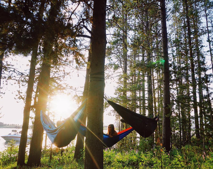 Hammocks